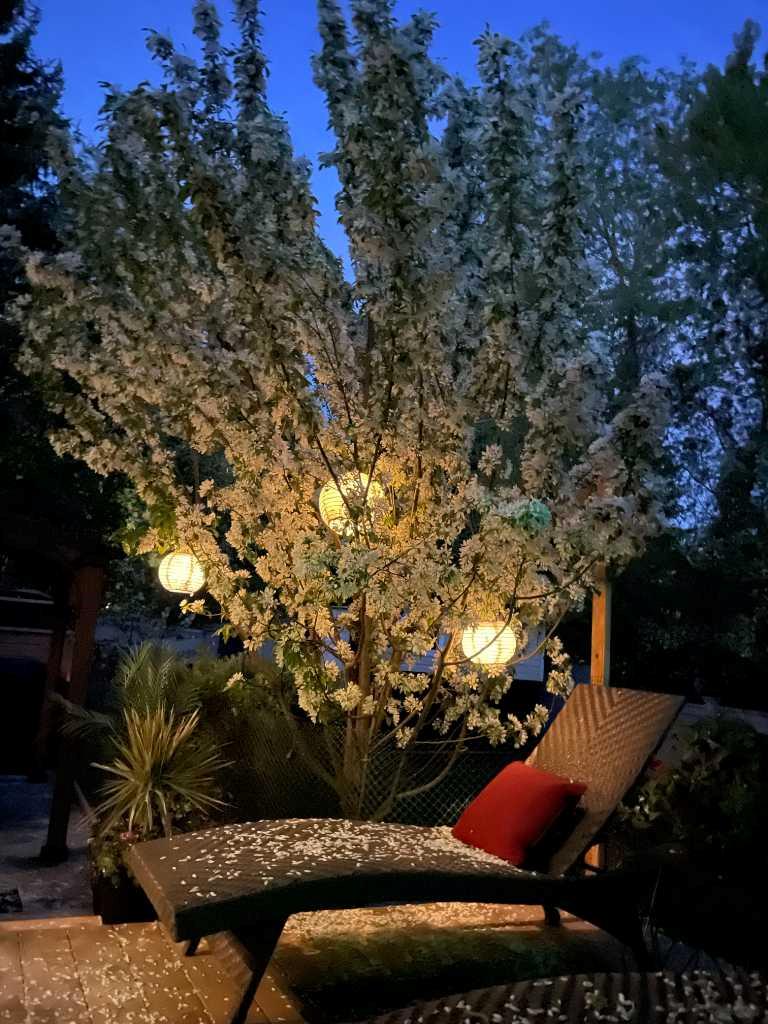 7 Mountain Park Circle SE