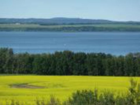 Photo of 420069 Range Road 284 #12, Rural Ponoka County, AB T4J 1R3 (MLS # A2334762)
