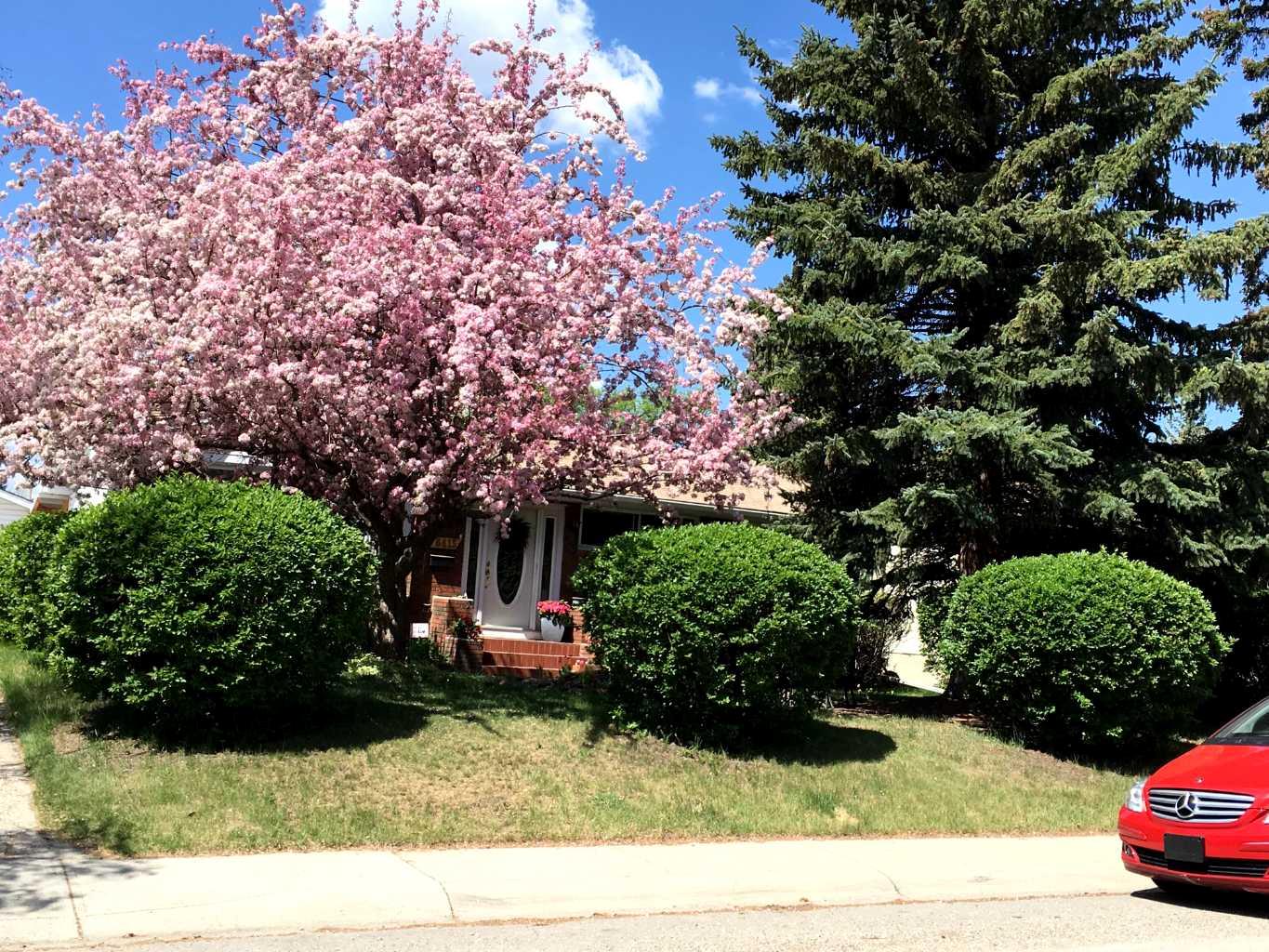 6415 Lombardy Crescent SW