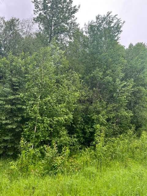 Photo of 58215-58237 Range Road 121, Rural Woodlands County, AB T7S 1P5 (MLS # A2322144)