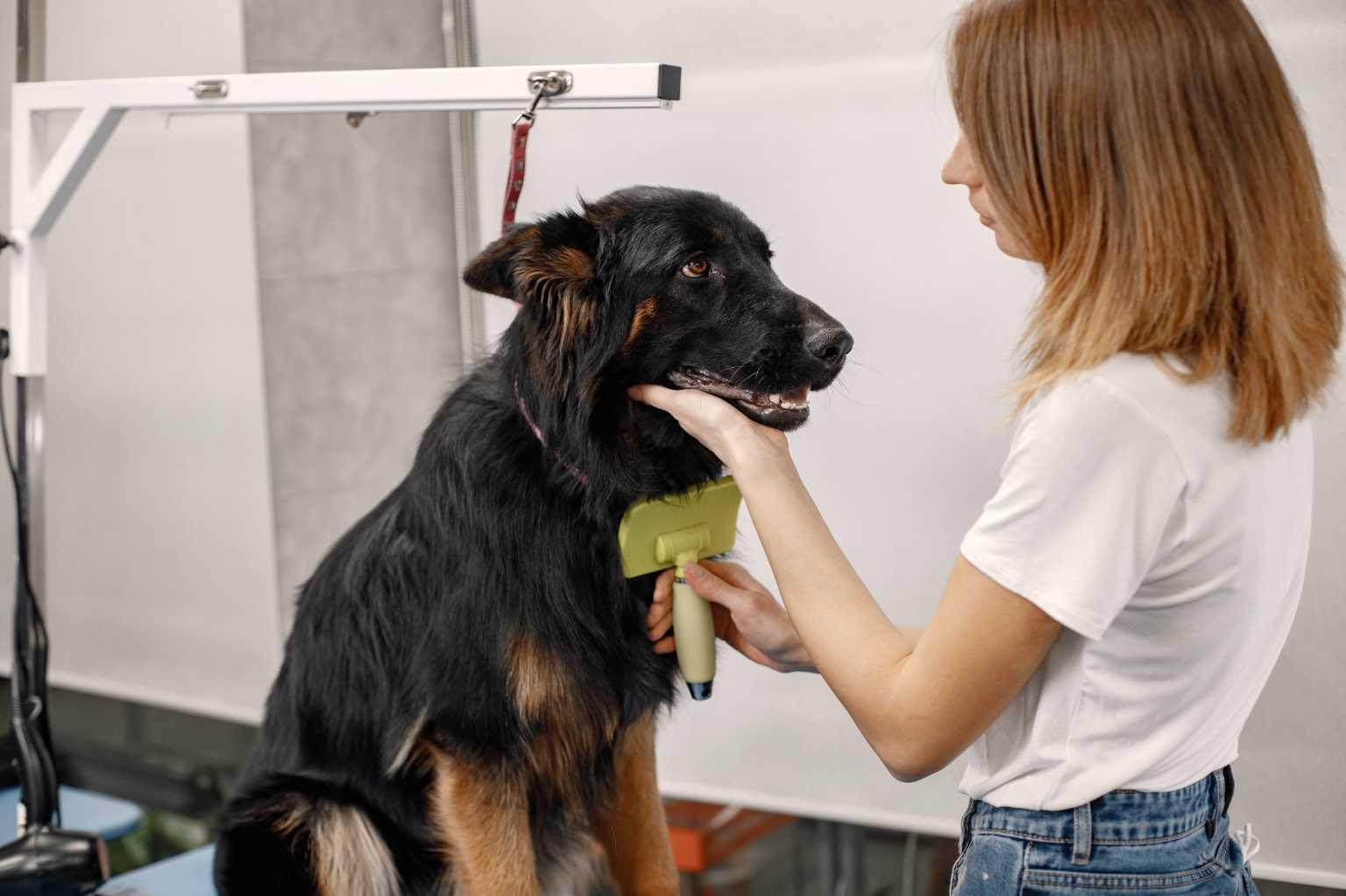 123 Pet Specialty with Grooming Way