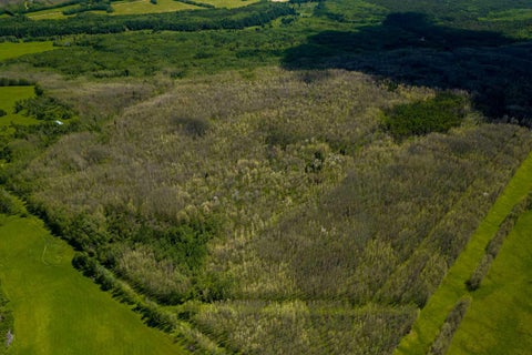 Photo of Range Road 231, Rural Athabasca County, AB T0A 0M0 (MLS # A2324486)