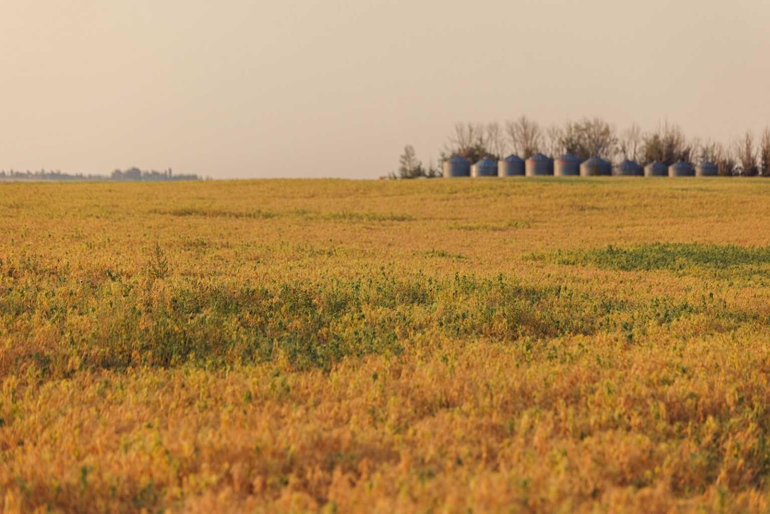 Parcel 9 Range Road 271 just south of Highway 9