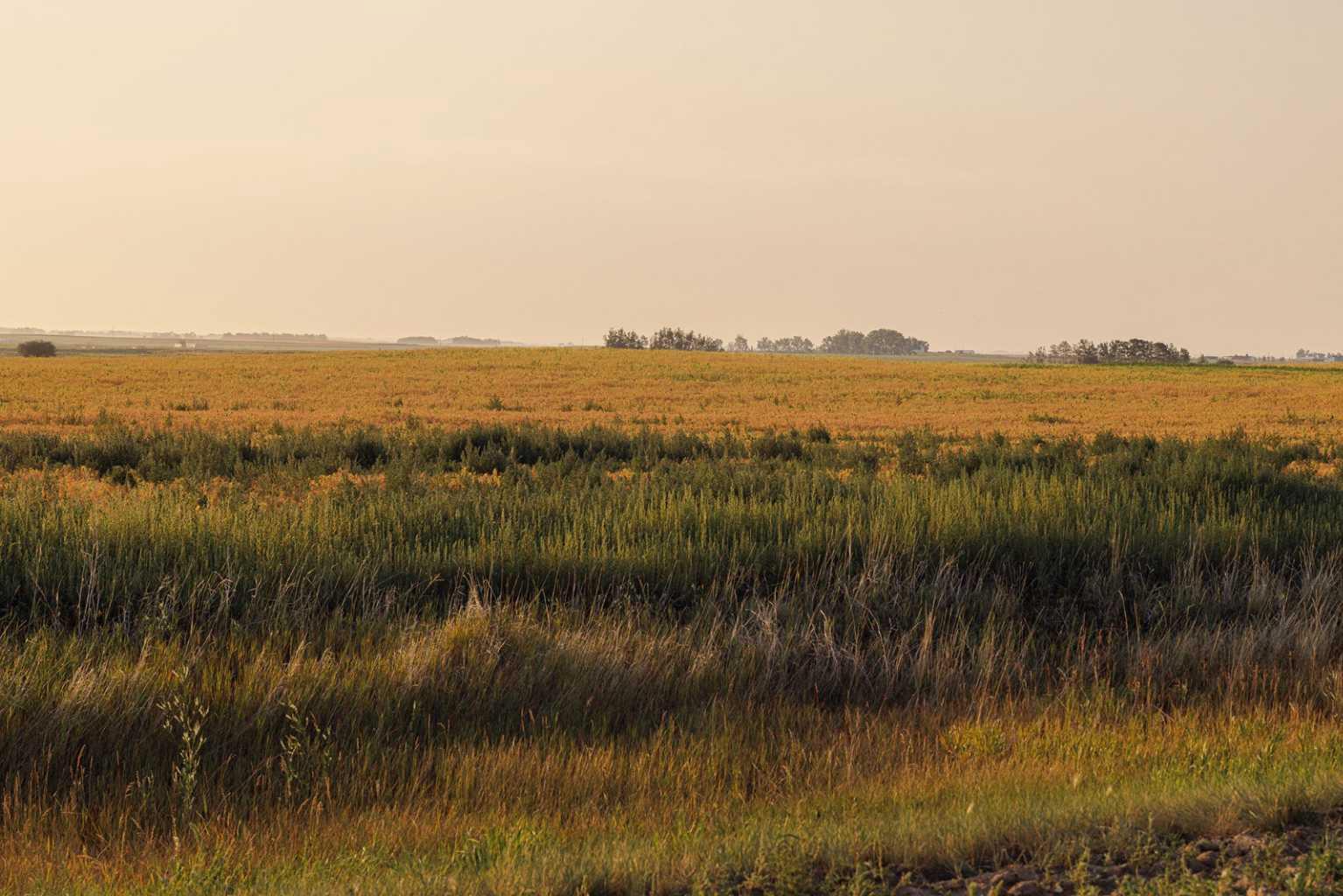 Parcel 9 Range Road 271 just south of Highway 9