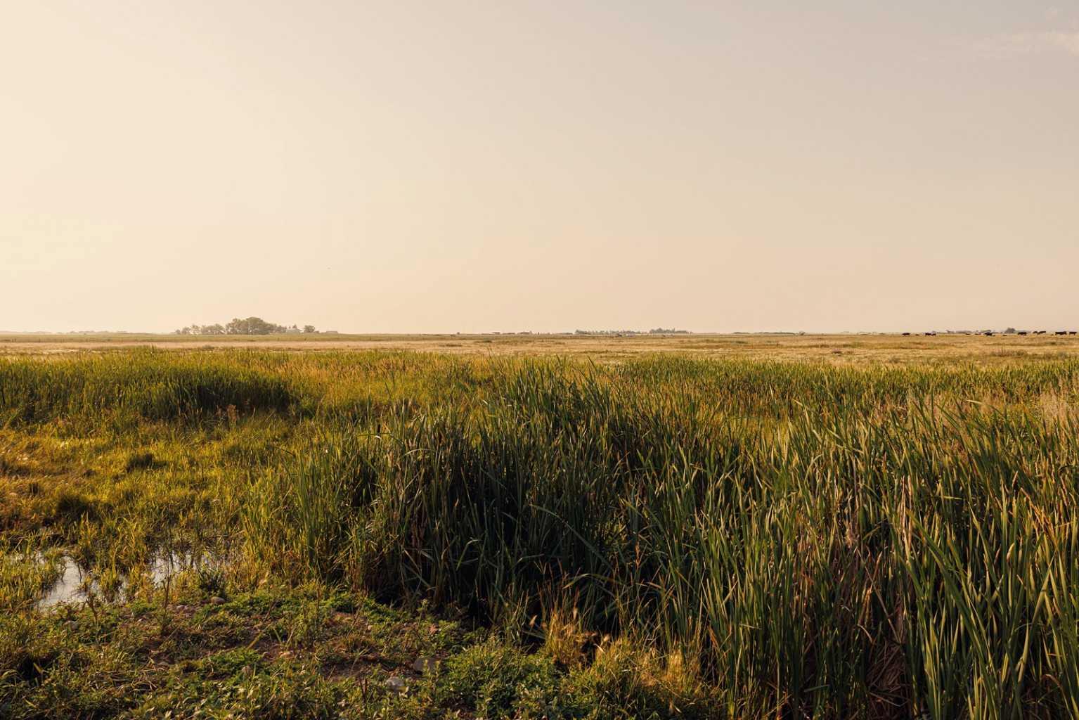 Parcel 9 Range Road 271 just south of Highway 9