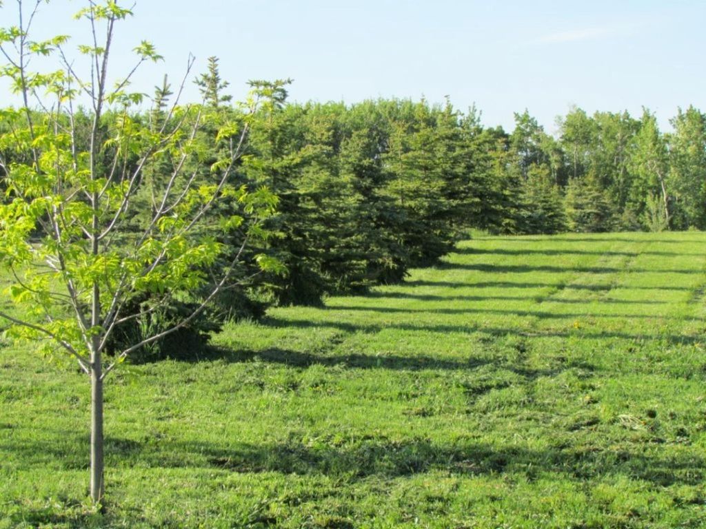 Photo of 420054 Range Road 283 #Lot 12, Rimbey, AB T0C 2J0 (MLS # A1228400)