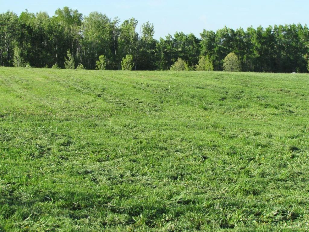 Photo of 420054 Range Road 283 #Lot 12, Rimbey, AB T0C 2J0 (MLS # A1228400)