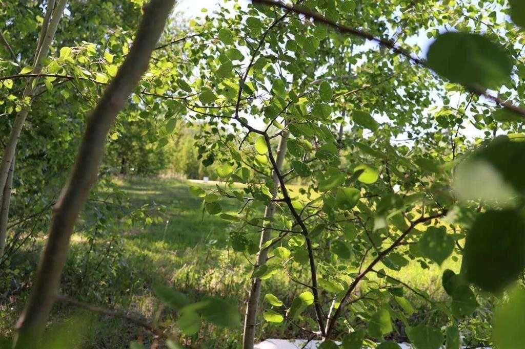 5-28124 Township Rd 412