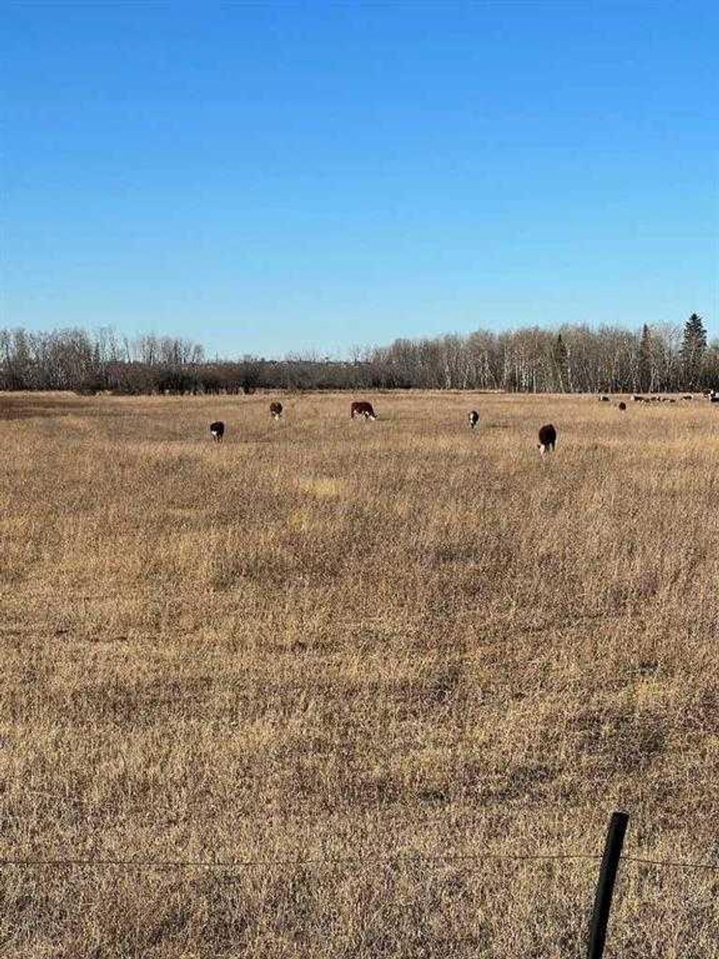 Photo of SE-32-71-5-W6 ., Grande Prairie, AB T8X 0G4 (MLS # A2312640)