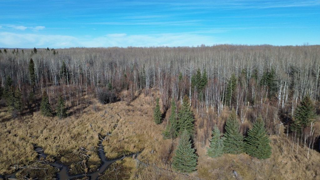 Photo of TWP 575 RANGE ROAD 102, Rural Woodlands County, AB T7S 1N5 (MLS # A2266623)