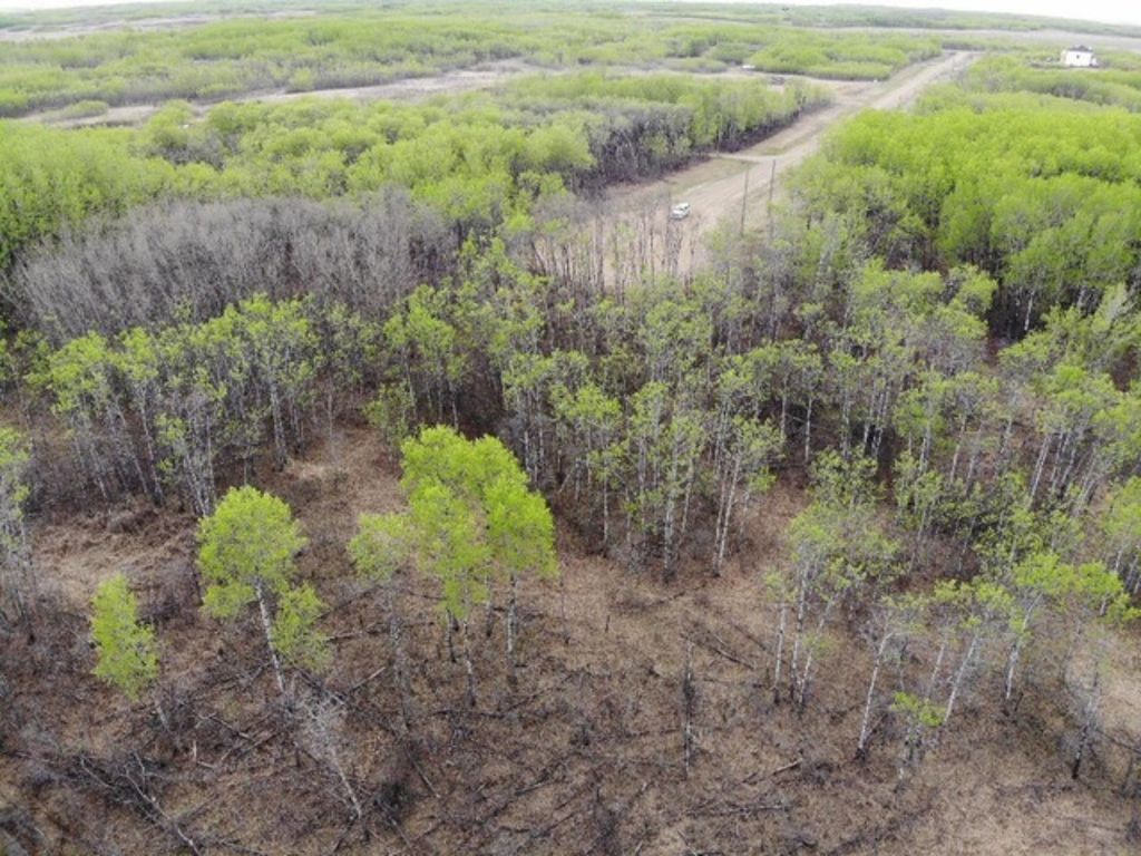 Photo of 26 450031 73 Range, Rural Wainwright No. 61, M.D. of, AB T9W 1L5 (MLS # A1150693)