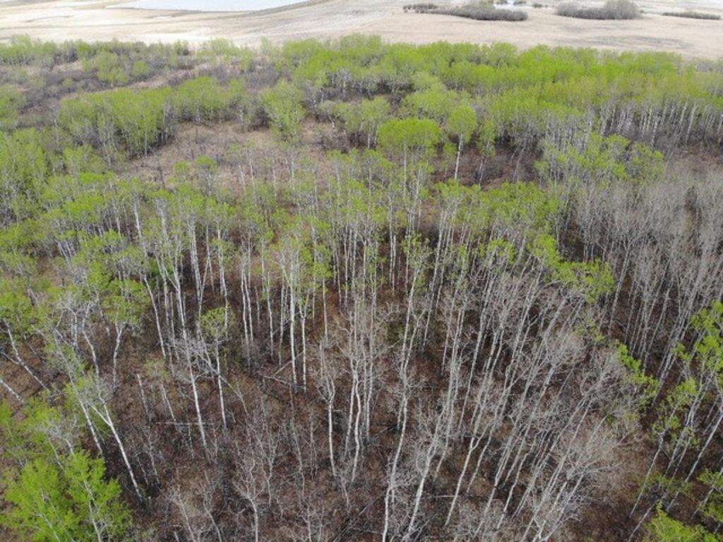 Photo of 26 450031 73 Range, Rural Wainwright No. 61, M.D. of, AB T9W 1L5 (MLS # A1150693)