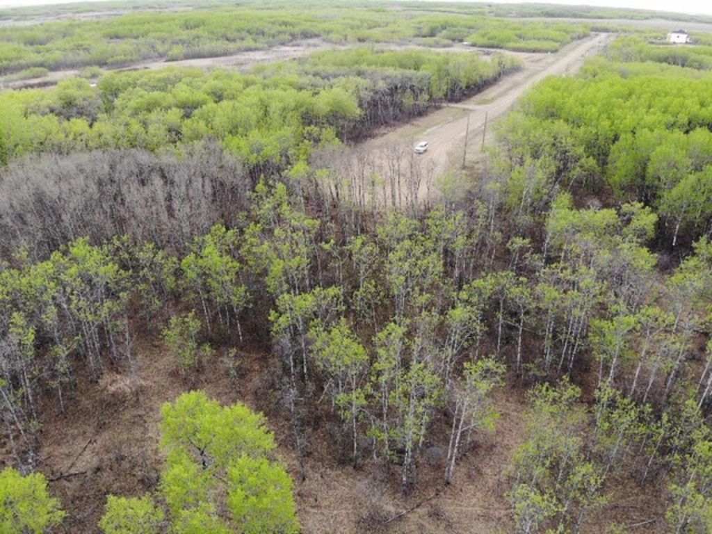 Photo of 26 450031 73 Range, Rural Wainwright No. 61, M.D. of, AB T9W 1L5 (MLS # A1150693)