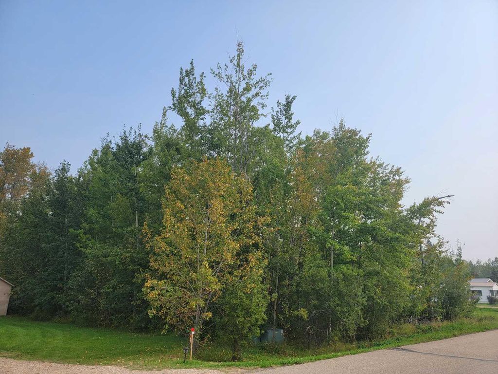 Photo of 5404 Spruce Avenue, Wandering River, AB T0A 3M0 (MLS # A2077900)