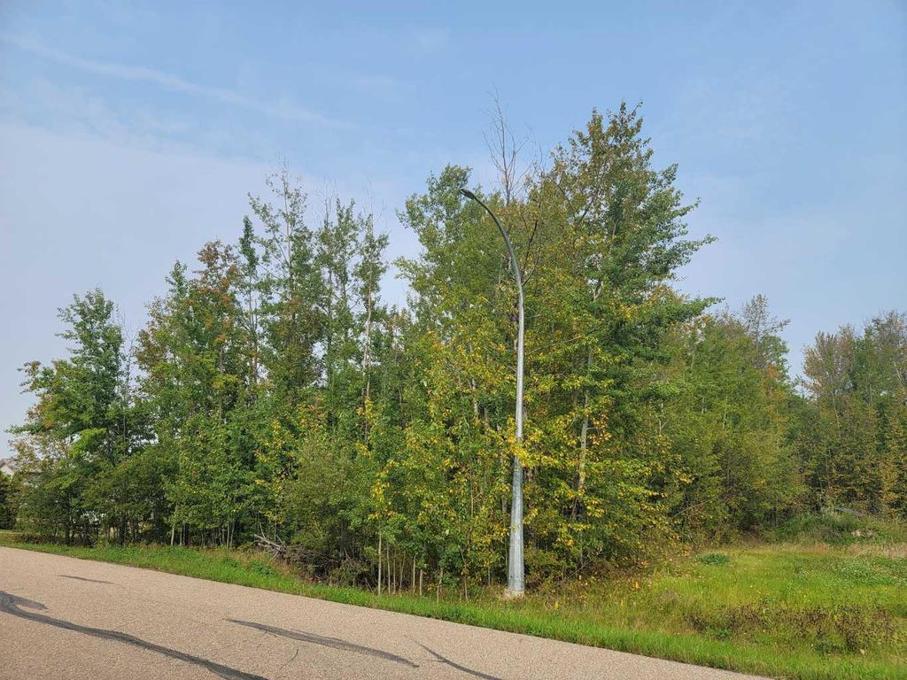 Photo of 5404 Spruce Avenue, Wandering River, AB T0A 3M0 (MLS # A2077900)