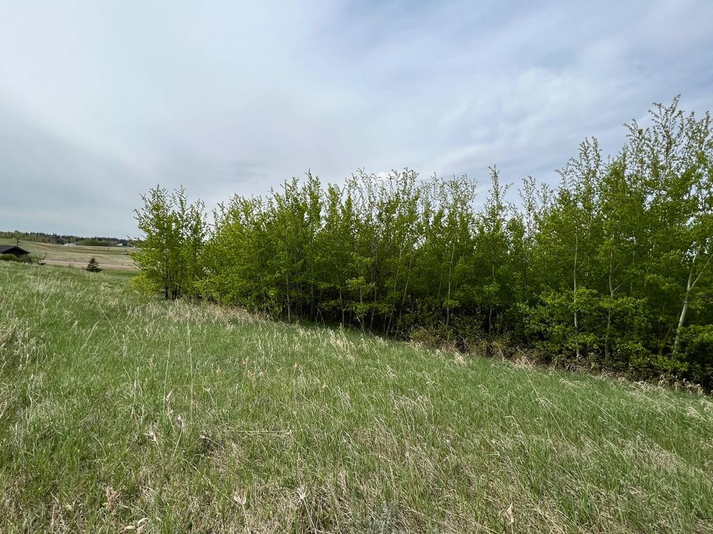 Photo of 418 Sand Hills Drive, Rural Ponoka County, AB T4J 1R3 (MLS # A2296310)