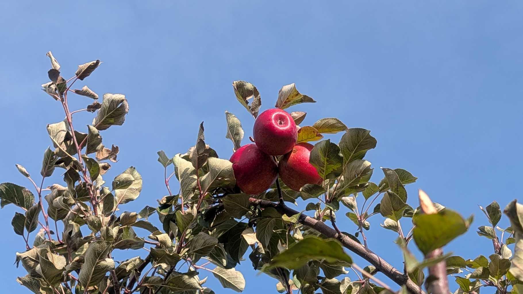 430 Pinehill Road NE