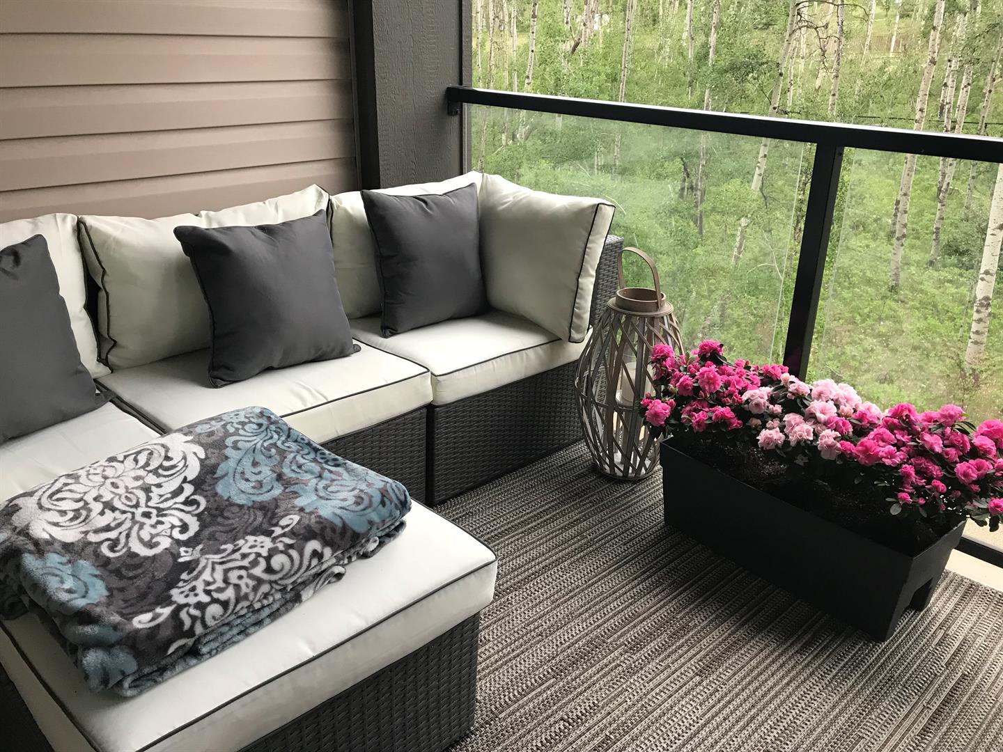 25 Aspenmont Heights SW 313