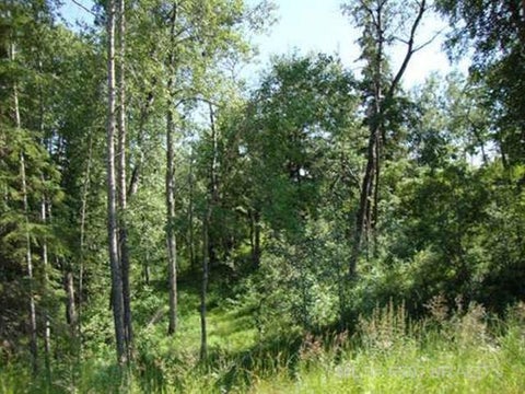 Photo of Lot 4 Blk 5 LAKESIDE Drive, Perch Lake, SK S0M 2G0 (MLS # A2340931)