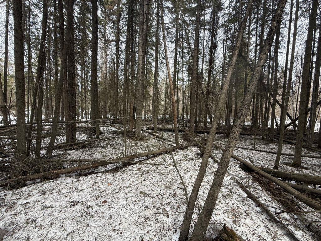 Photo of TWP RD 662, Rural Athabasca County, AB T0A 0M0 (MLS # A2309177)