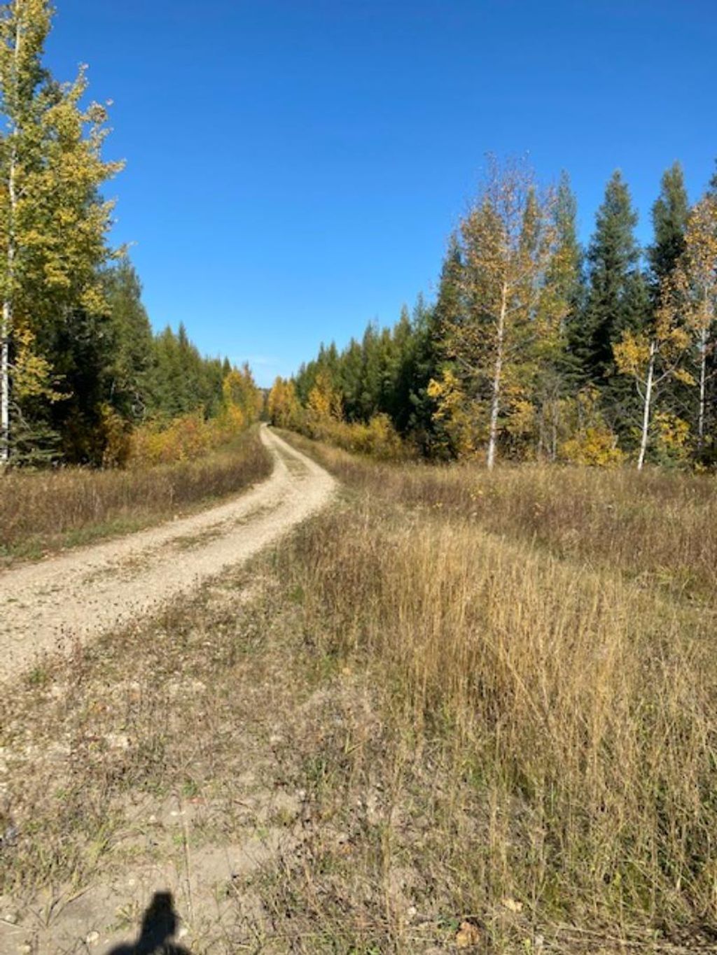Photo of Lot 32 Flats Road Road, Whitecourt, AB T7S 0E5 (MLS # A1259389)