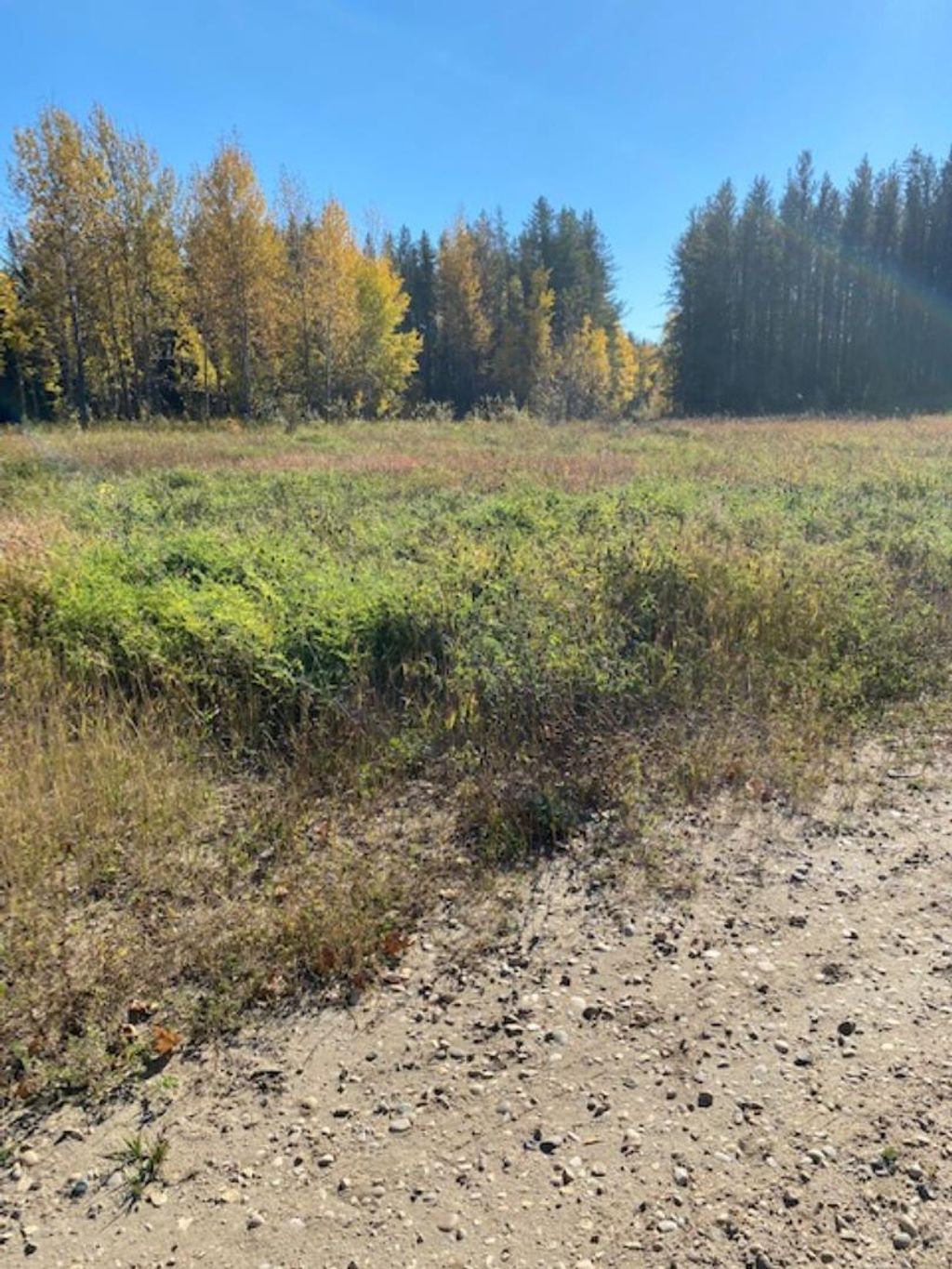 Photo of Lot 32 Flats Road Road, Whitecourt, AB T7S 0E5 (MLS # A1259389)