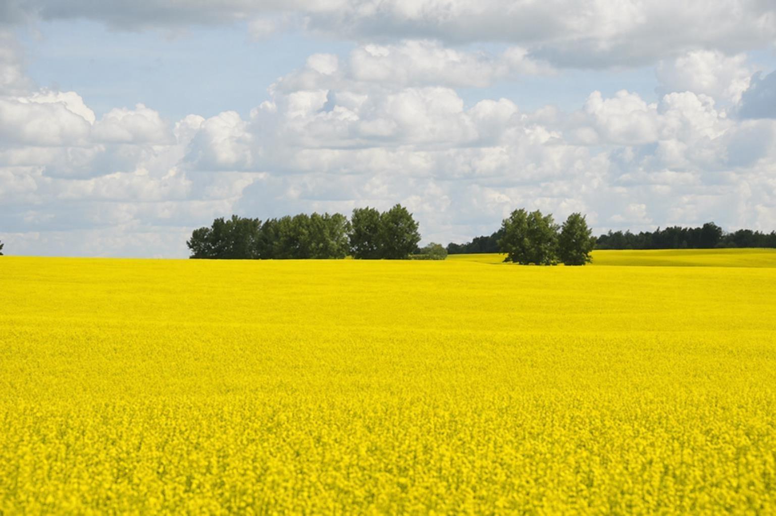 1,085 Acres