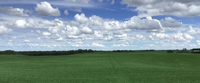 1,085 Acres
