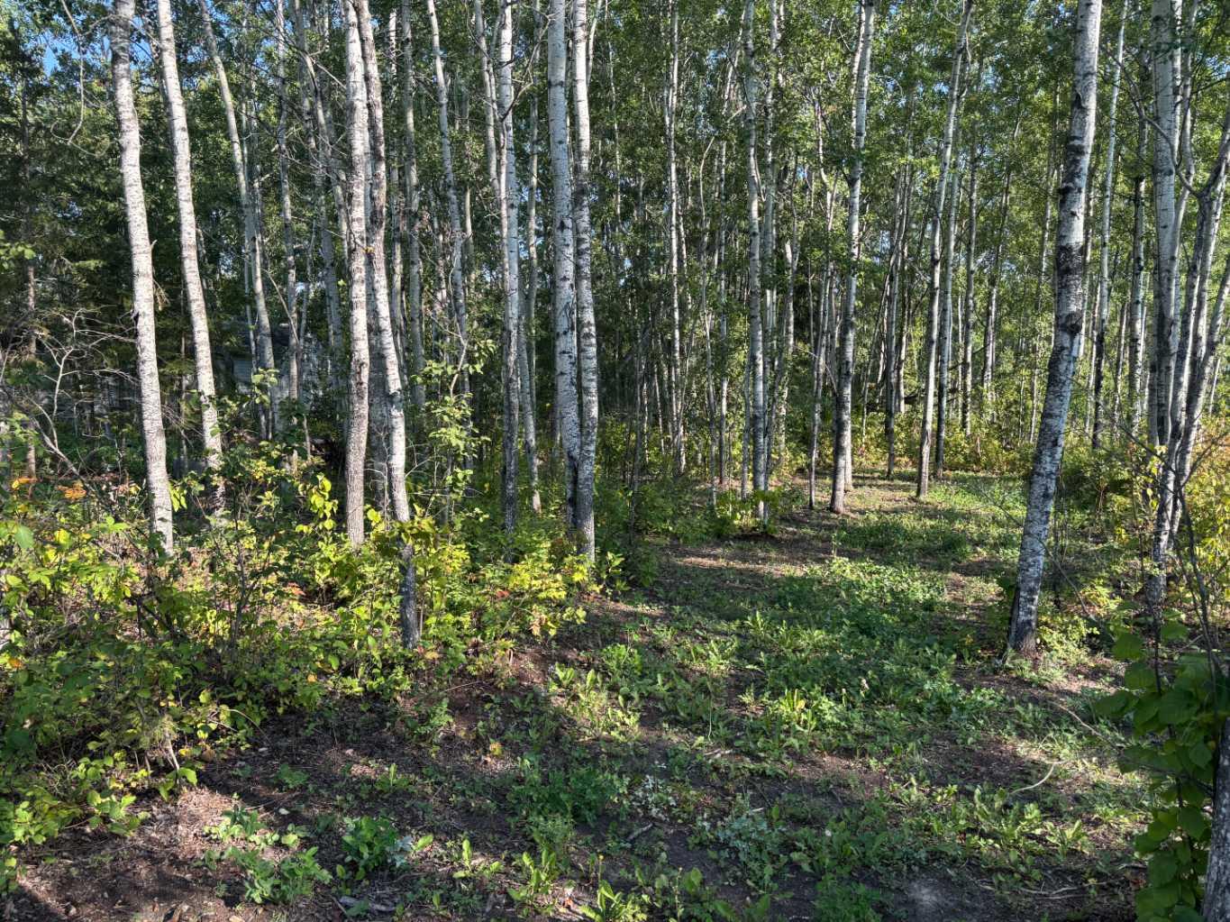 660022 - Range Road 225.5 (Unit 35) #226