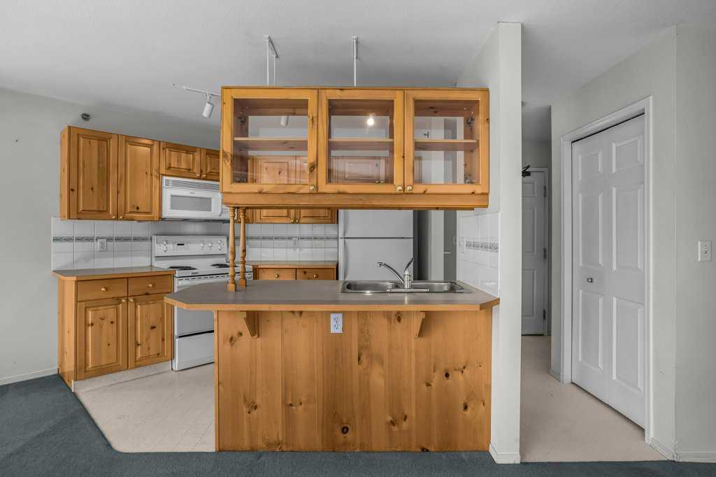 1080C Cougar Creek Drive 310