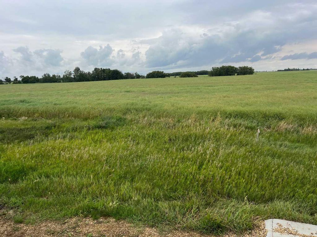 Photo of 318 Niblock Street, Bawlf, AB T0B 0J0 (MLS # A2076411)