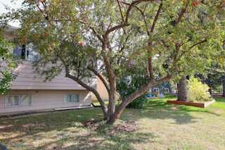 1356 Southdale Crescent SW