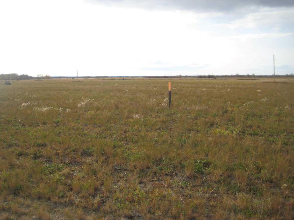 Photo of 920 Twp Road, Rural Northern Lights, County of, AB T0H 2M0 (MLS # A2264702)