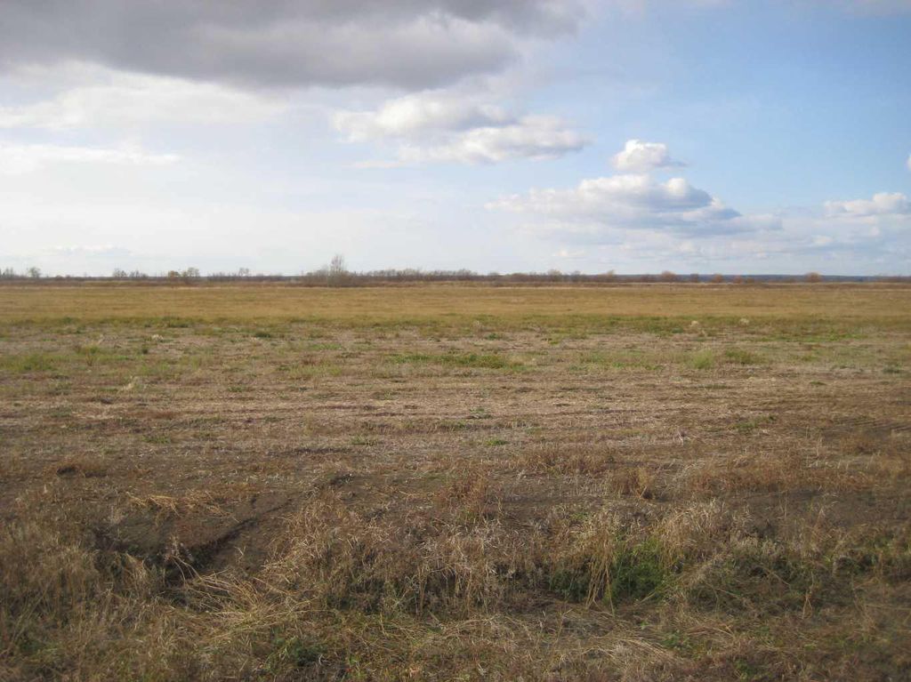 Photo of 920 Twp Road, Rural Northern Lights, County of, AB T0H 2M0 (MLS # A2264702)