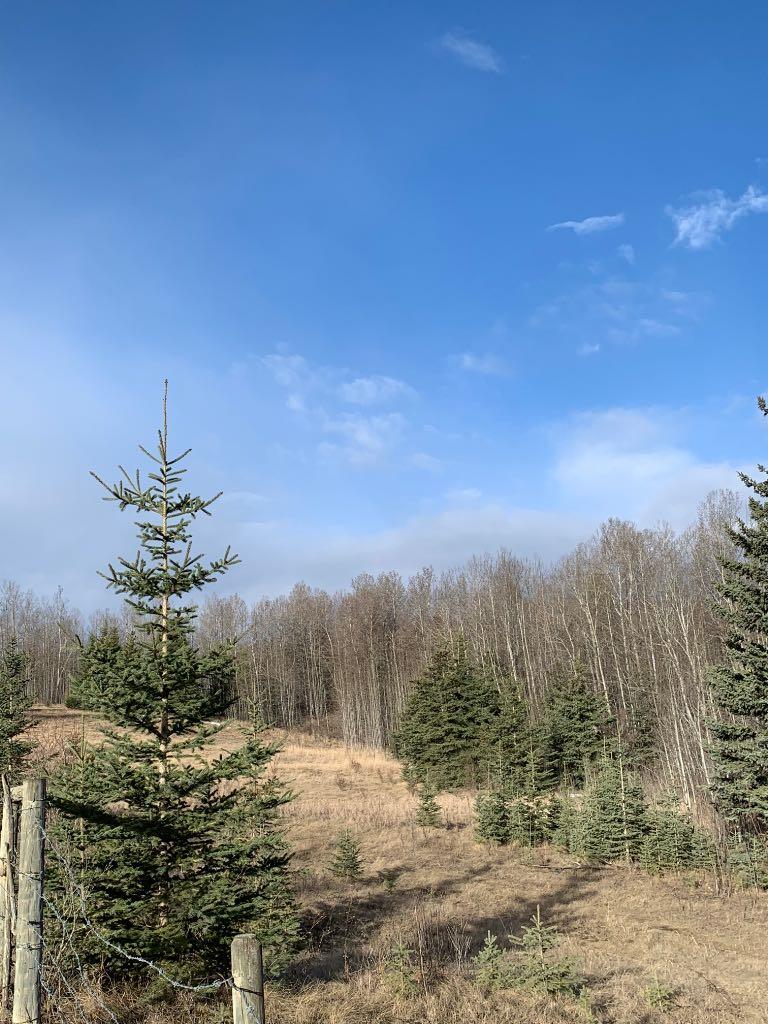 14520 Township Road 562