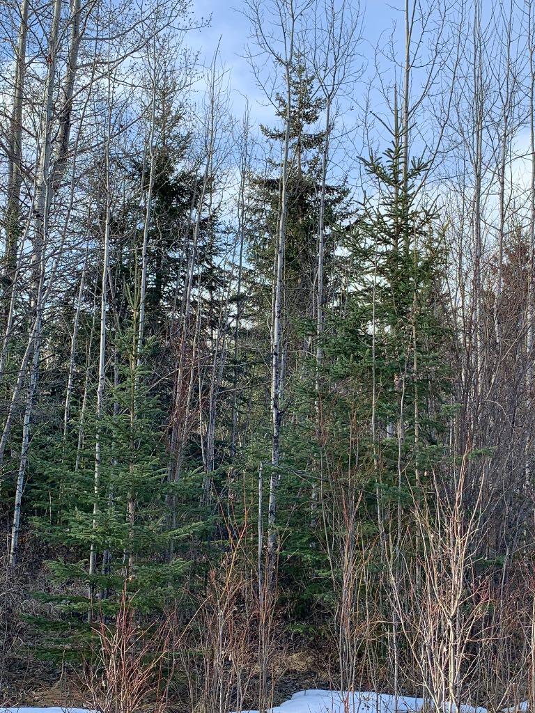 14520 Township Road 562