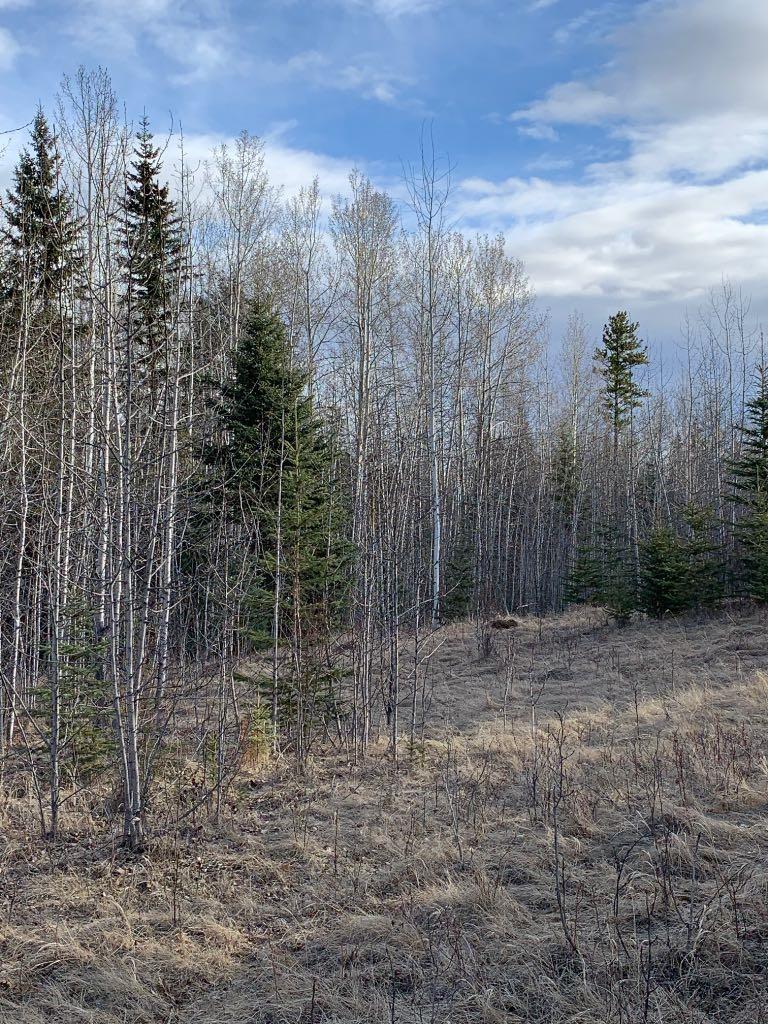 14520 Township Road 562