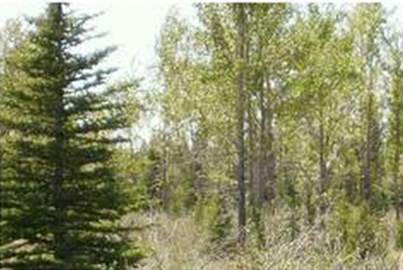 Range Road 55