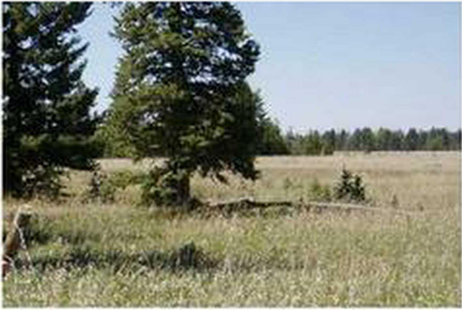 Range Road 55