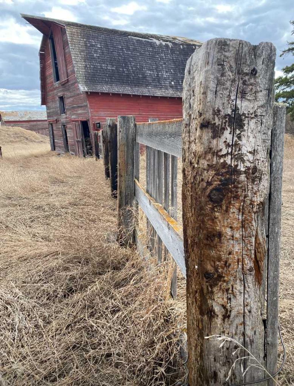 Photo of 14043 TWP RD 393, Rural Provost No. 52, M.D. of, AB T0B 1X0 (MLS # A2041620)