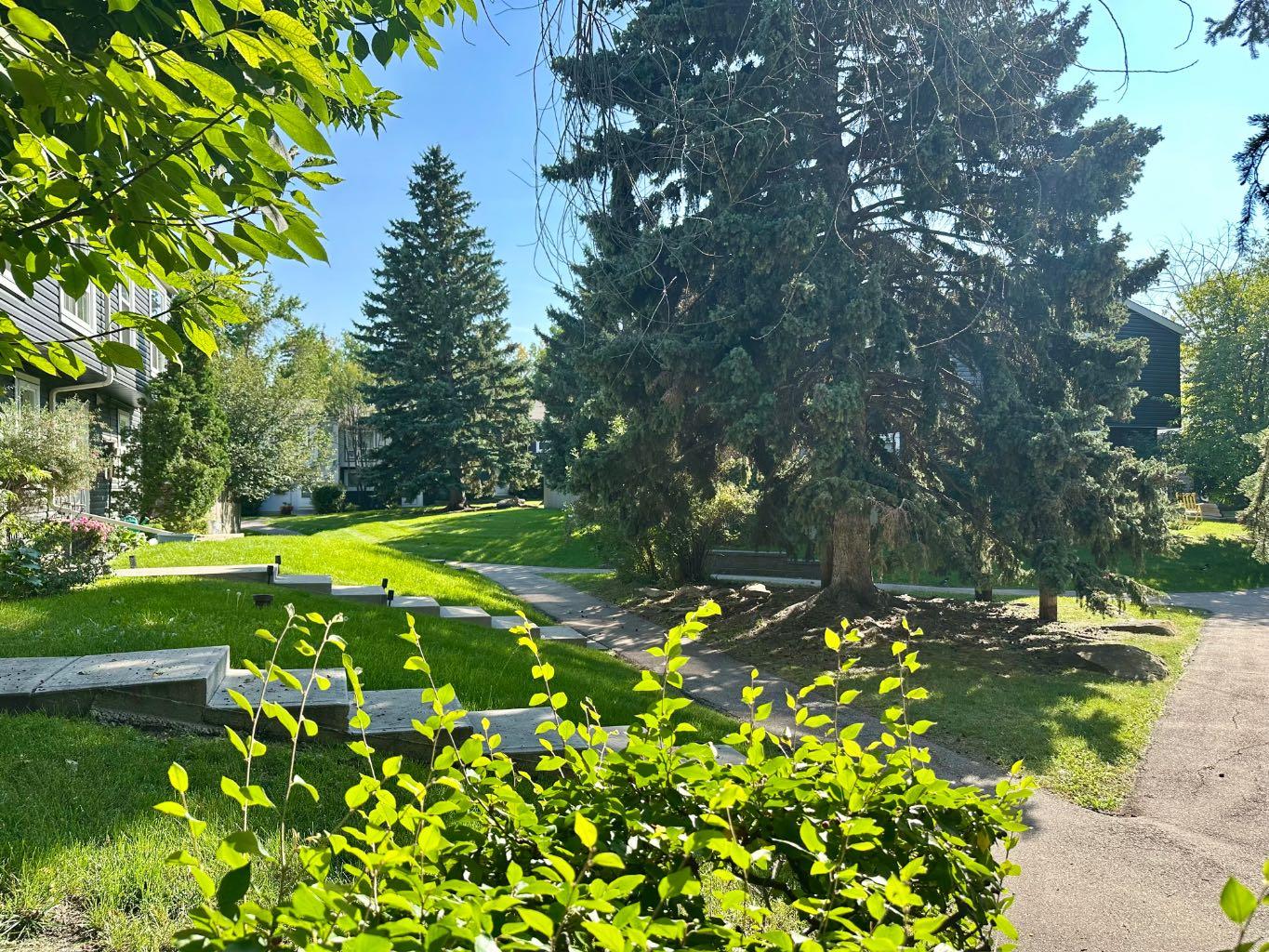 11407 Braniff Road SW 8