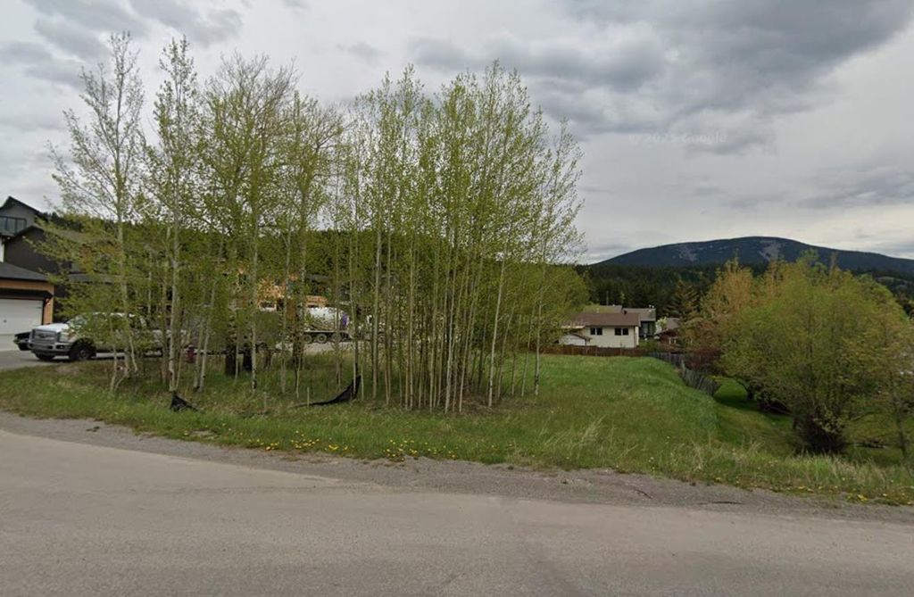 Photo of 8602 24 Avenue, Coleman, AB T0K 0M0 (MLS # A2289780)