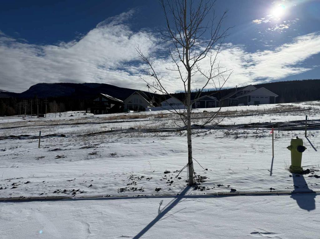 Photo of 429 LILY Avenue, Nordegg, AB T0M 2H0 (MLS # A2289647)