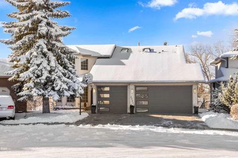 2331 Morris Crescent SE Airdrie AB T4A 2A3