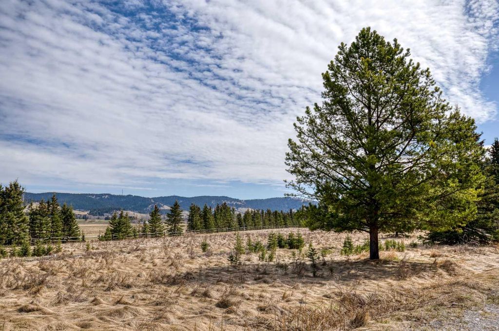 Photo of 33.53 acres Highway 40, Rural Bighorn No. 8, M.D. of, AB T4C 1B7 (MLS # A2310534)