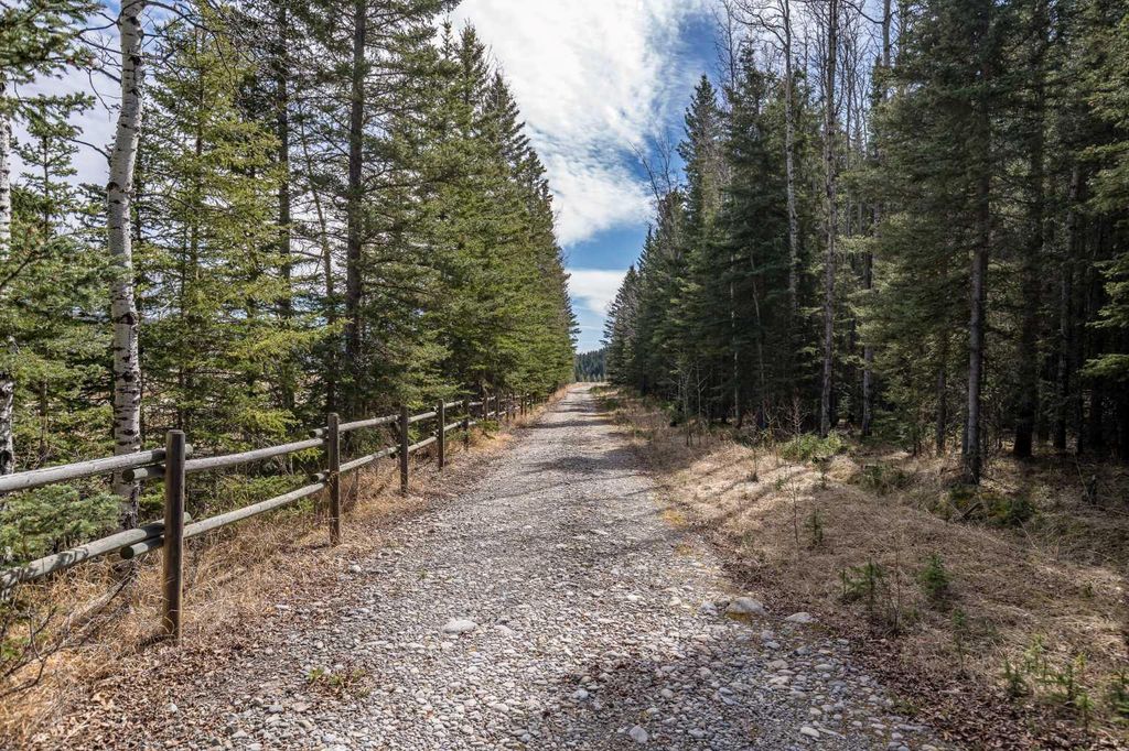 Photo of 33.53 acres Highway 40, Rural Bighorn No. 8, M.D. of, AB T4C 1B7 (MLS # A2310534)