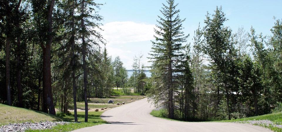 41310 Range Road 282 146