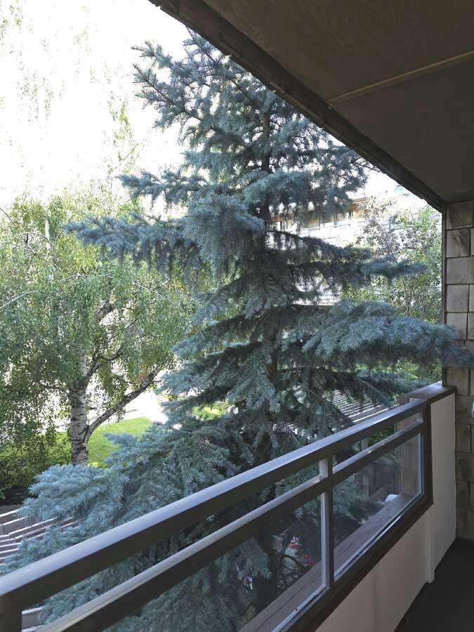 3730 50 Street NW 206