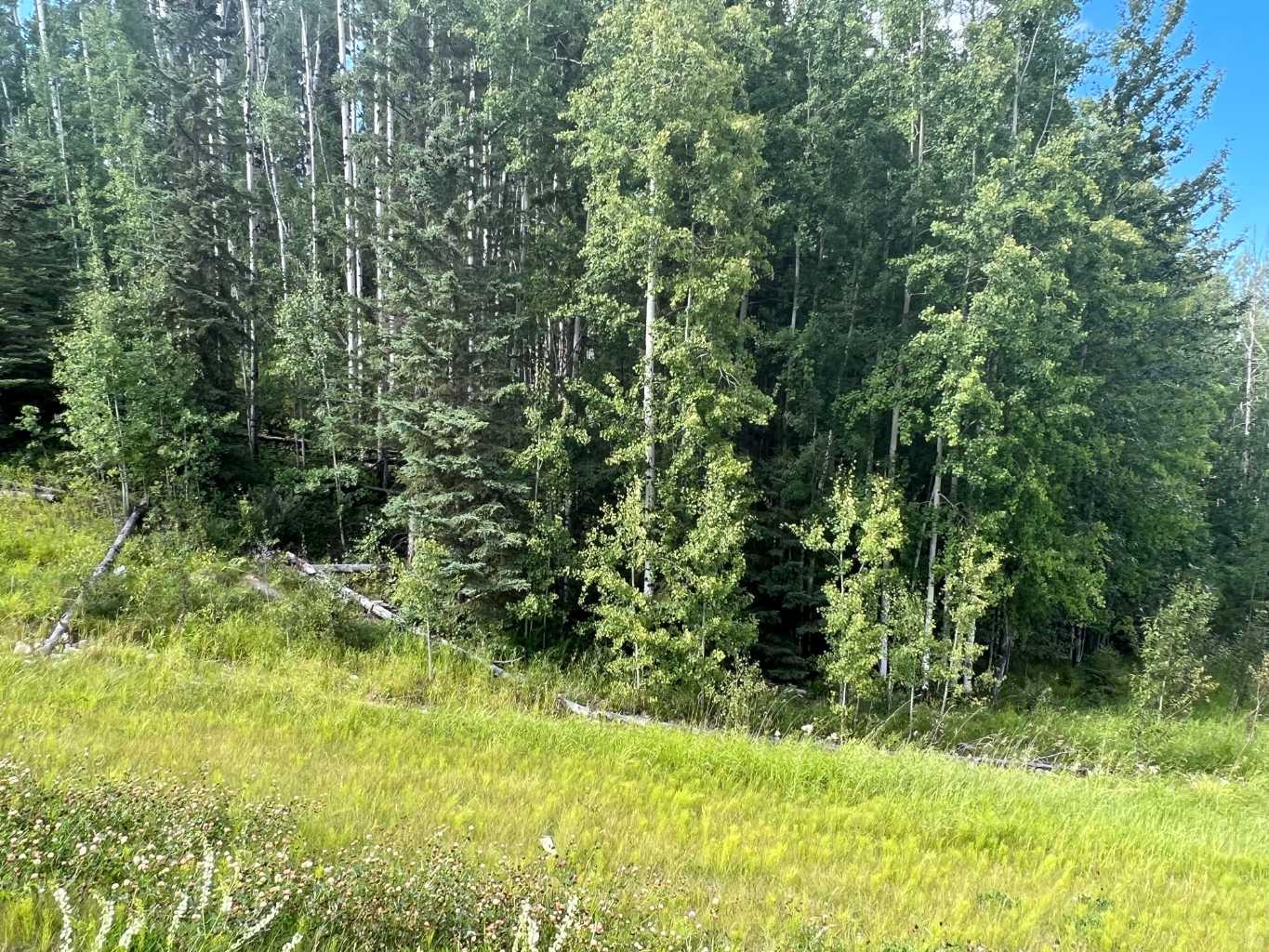 #43 River Ridge Estates