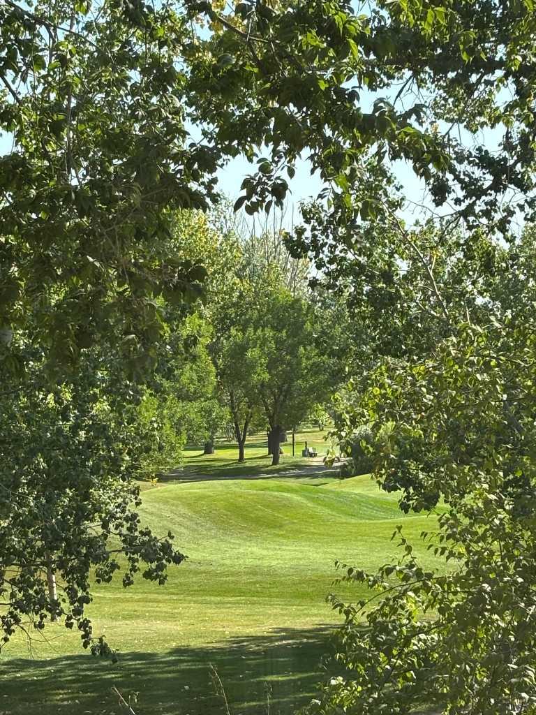 14 Hemlock Crescent SW 7204